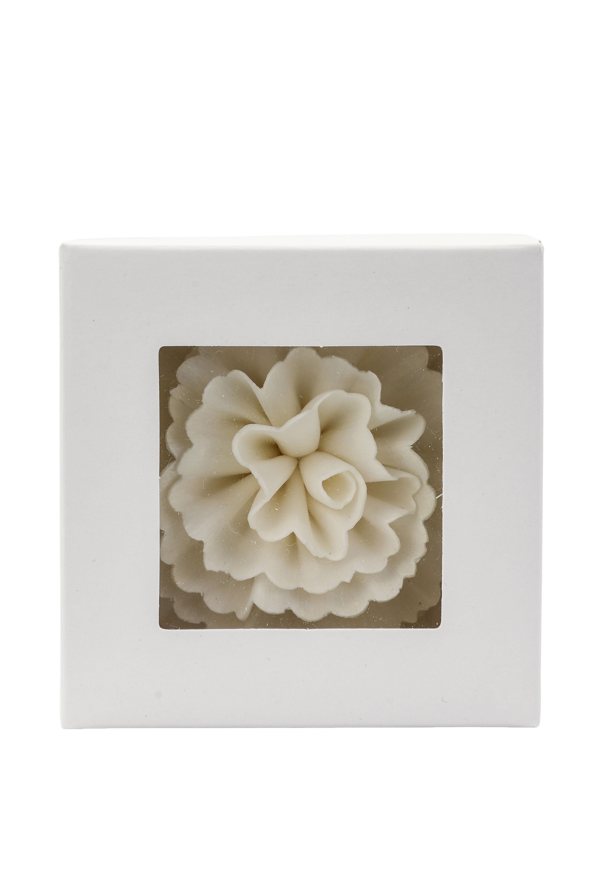 Carnation Sola Flower Replacement