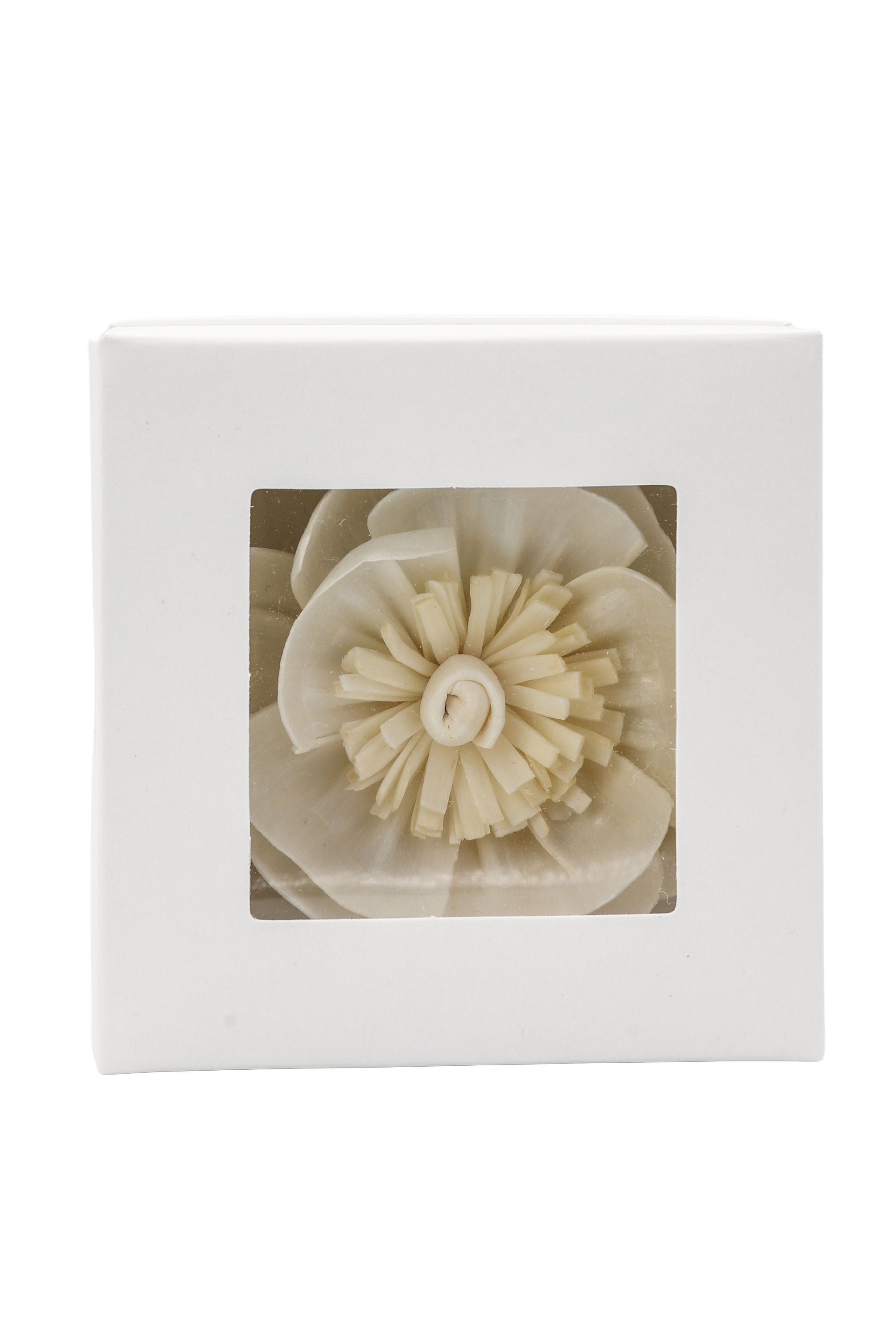 Peony Sola Flower Replacement