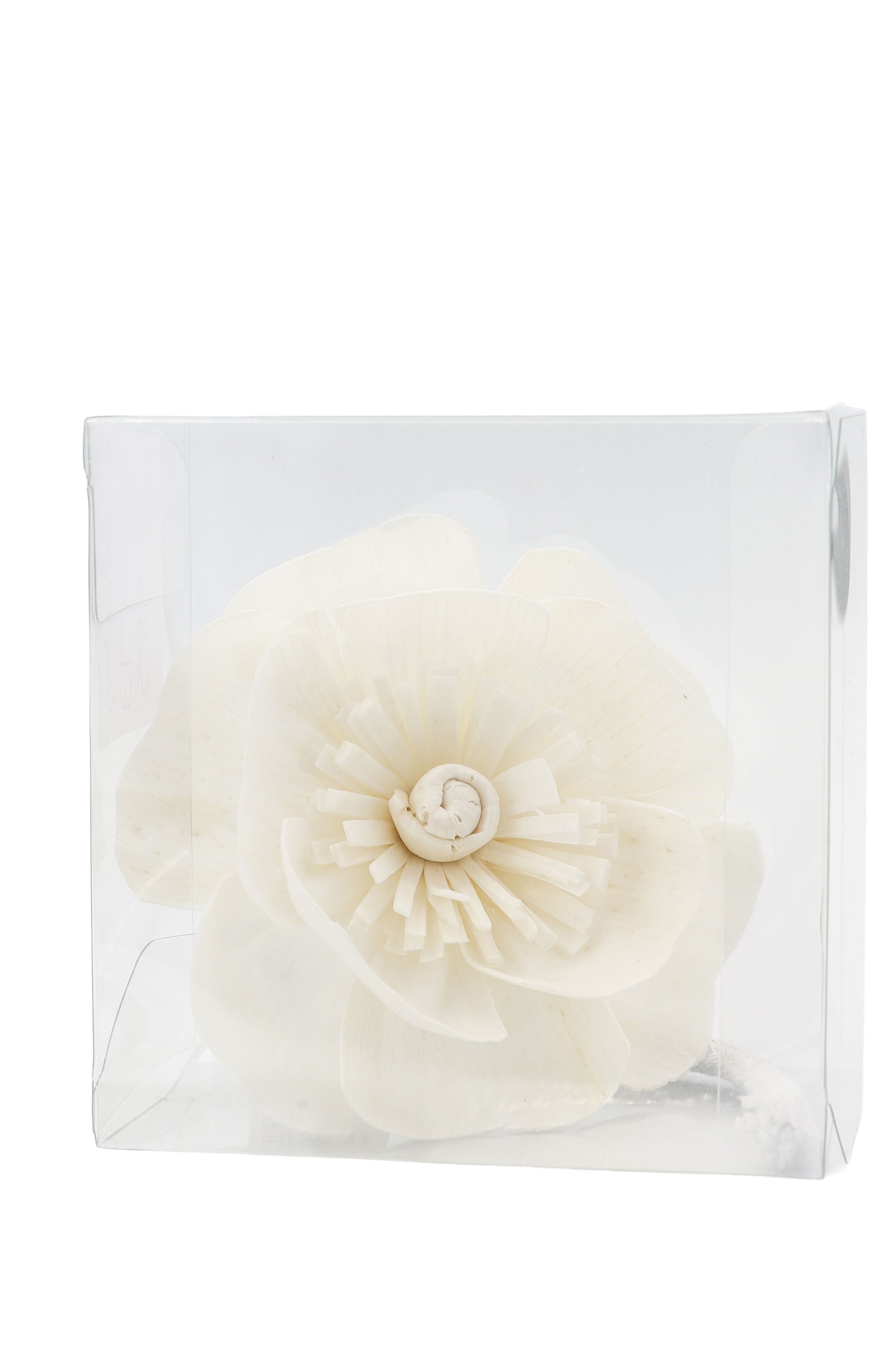 Bush Walk Sola Flower Diffuser 75ml